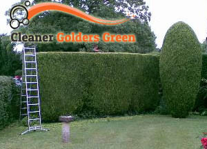 Hedge Maintenance Golders Green